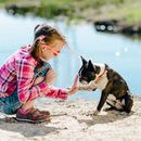 5 Tipps für den Trick "Pfote" geben - so lernst du es deinem Hund