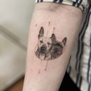 Tattoos mit Hunde Thema: Wir haben die süßesten Netzfunde für euch