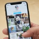 Apps para dueños de perros: 10 aplicaciones que debes conocer