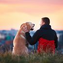 Labrador, mint terápiás kutya - eljárás, költségek, hol, hogyan, mit és miért 