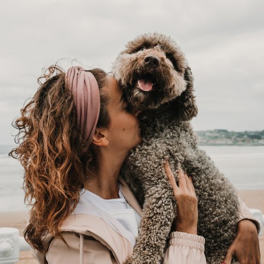 spanischer Wasserhund kuschelt seine Besitzerin am Arm und hechelt und lacht, im Hintergrund sieht man das Meer, brauner Hund mit Locken, Spanische Hunderasse