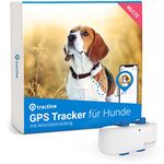 Tractive GPS Tracker für Hunde (2021). Immer wissen, wo dein Hund ist. 24h GPS-Ortung & Aktivitätstracking.
