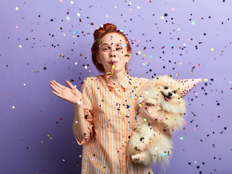 Dog on owner's arm and confetti flying through the air, dwarf spitz happy and smiling, Pomeranian
