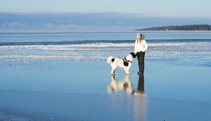 Urlaub mit Hund am See in Deutschland - die Top 5 Plätze