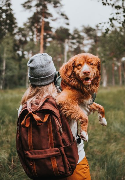 10 Hotspots für Wandern mit Hund in Österreich