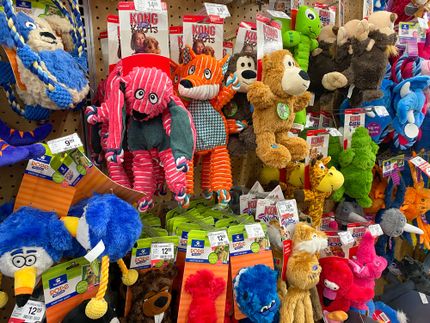 Dog toys - what you have to watch out for