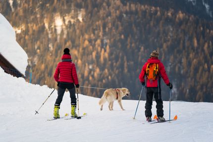 Skiing with a dog - unforgettable moments in the snow