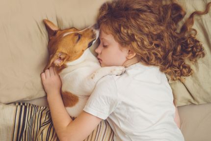 ¿Cuántas horas duermen los perros al día?